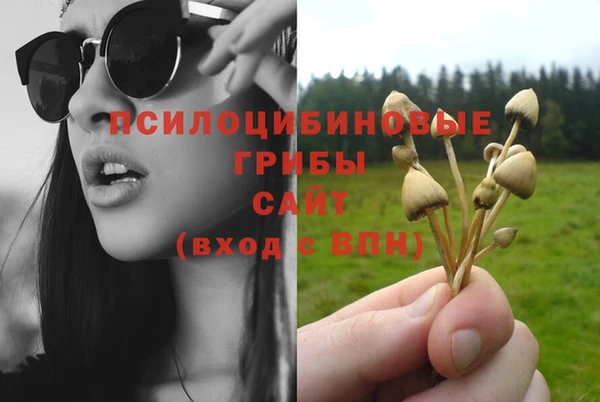 МДПВ Зеленокумск