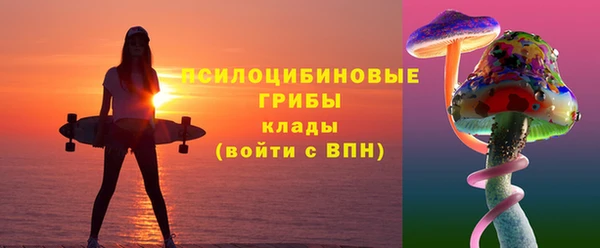 твердый Сосновоборск
