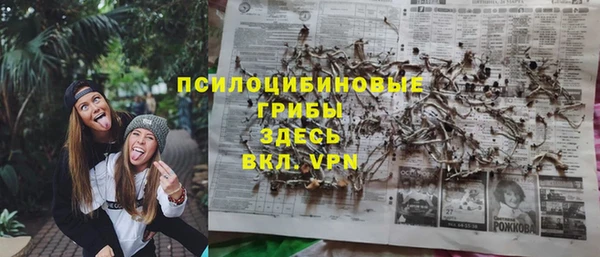 твердый Сосновоборск
